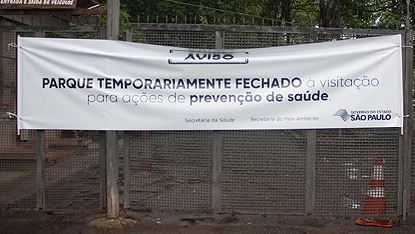 Resposta rápida pode prevenir surto de febre amarela